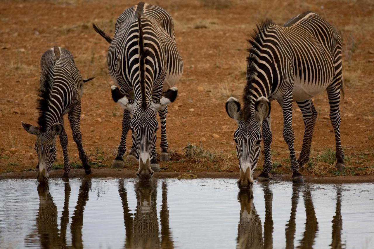 Samburu Sopa Lodge Archers Post Екстериор снимка